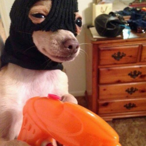 Meet your Posher, Anthony - Picture 1 of 1